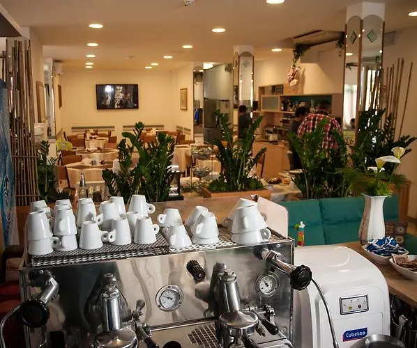 Отель Ramona 2*